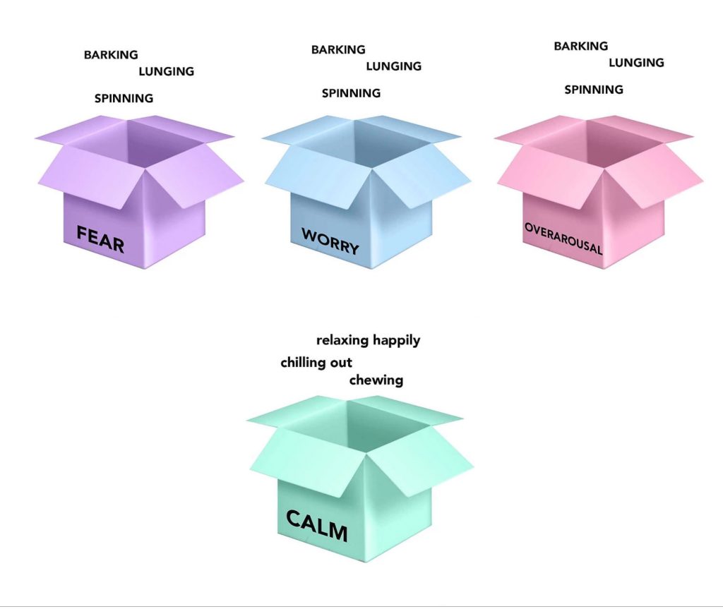 calmness box