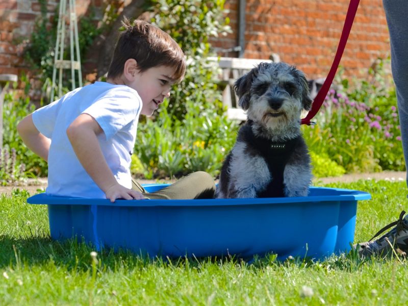dog and kid in blue tub in class
