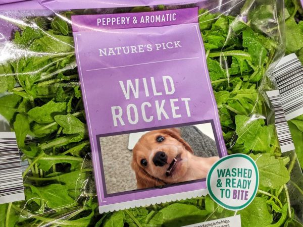 Wild Rocket Cover Image