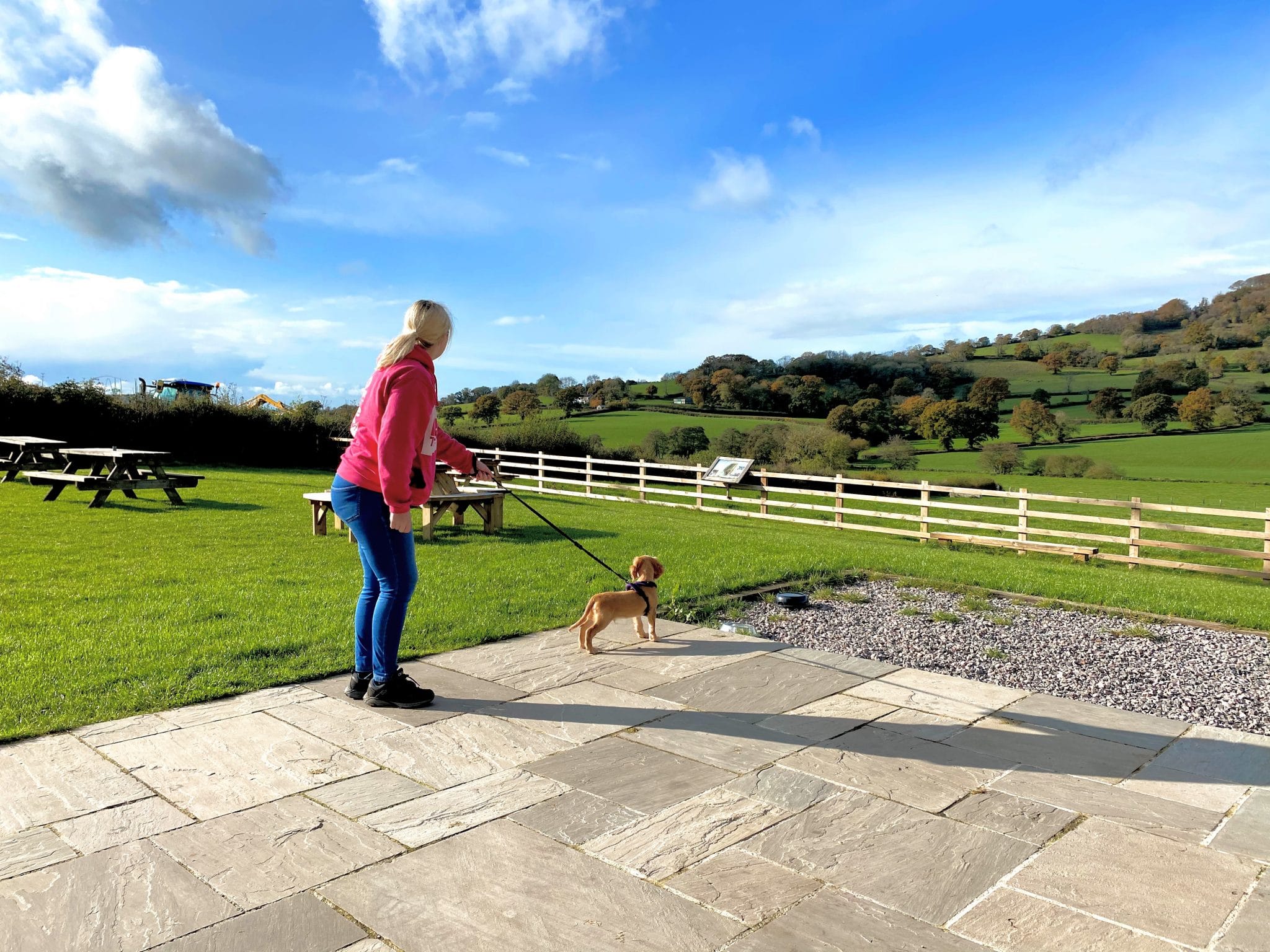 cathy and rocket puppy on lead in devon countryside