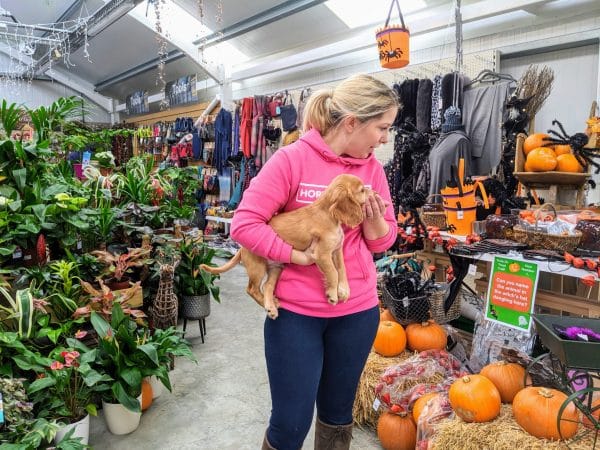 cathy with rocket-puppy cocker spaniel in old moat garden centre