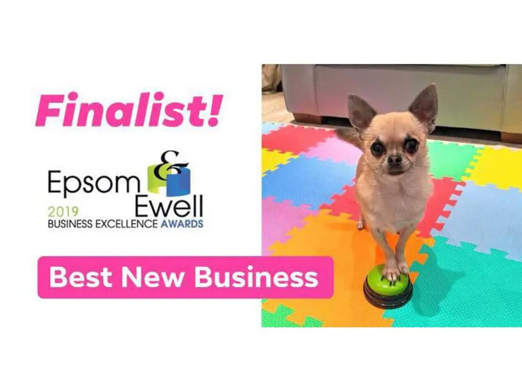 horton dogs finalist best new business epsom business awards 2019 1