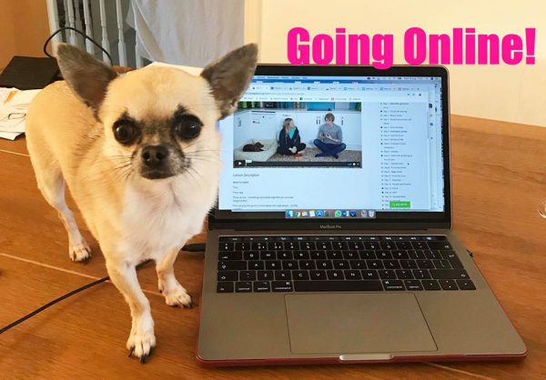 pixel and laptop online video classes