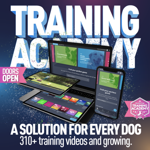 Absolute Dogs Training Academy, the Netflix of Dog Training Horton Dogs