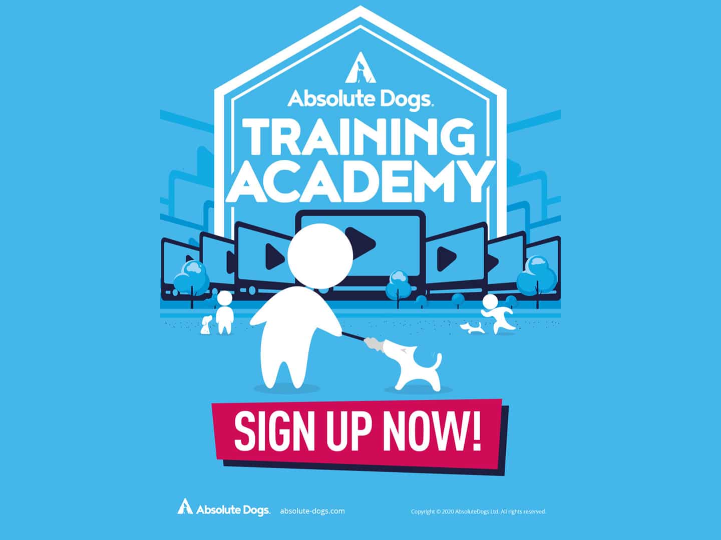 Absolute Dogs Training Academy, the Netflix of Dog Training Horton Dogs