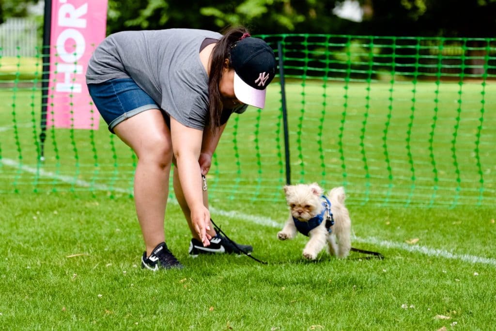 student and puppy in dog training class in ewell epsom surrey
