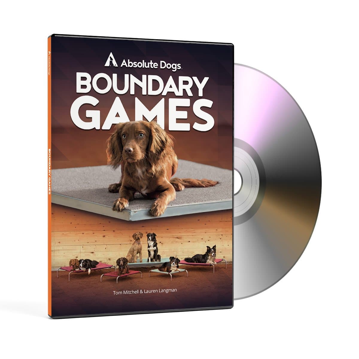Boundary Games DVD Settle to Mat Training Games by Absolute Dogs