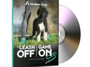 absolute dogs lease off game on games dvd 2 2048x2048 1