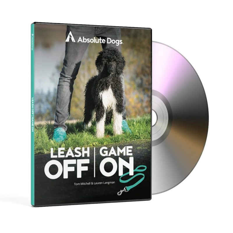 absolute dogs lease off game on games dvd 2 2048x2048 1