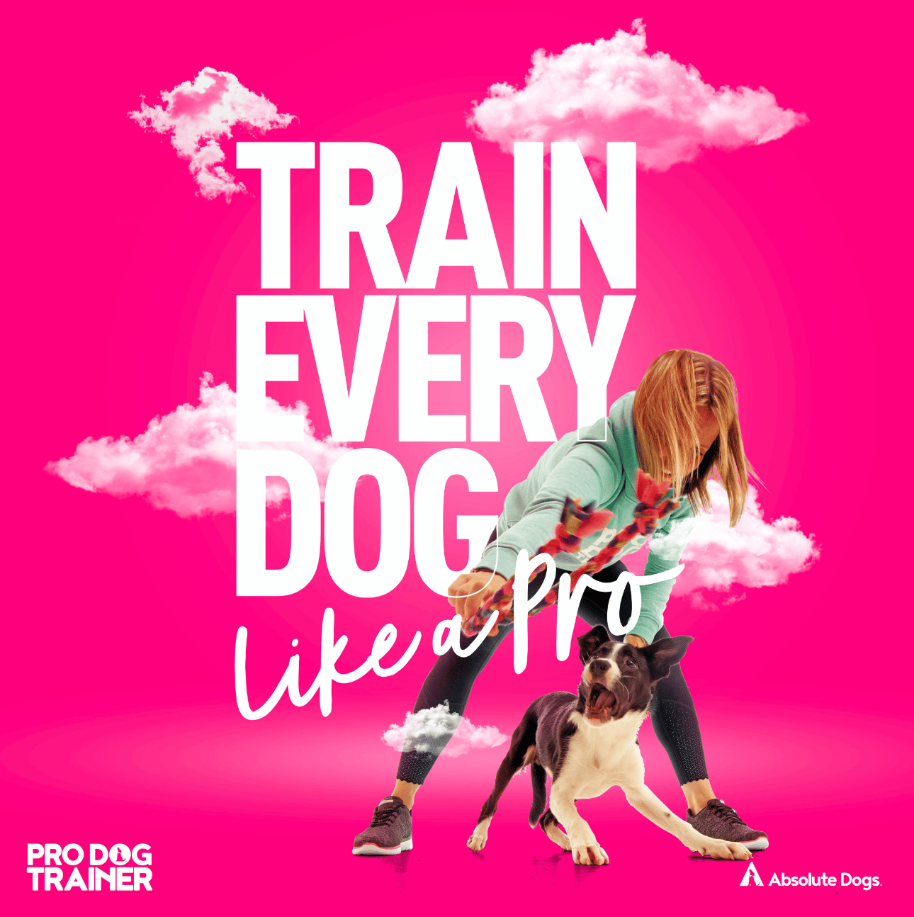 Pro Dog Trainer Course by absoluteDogs